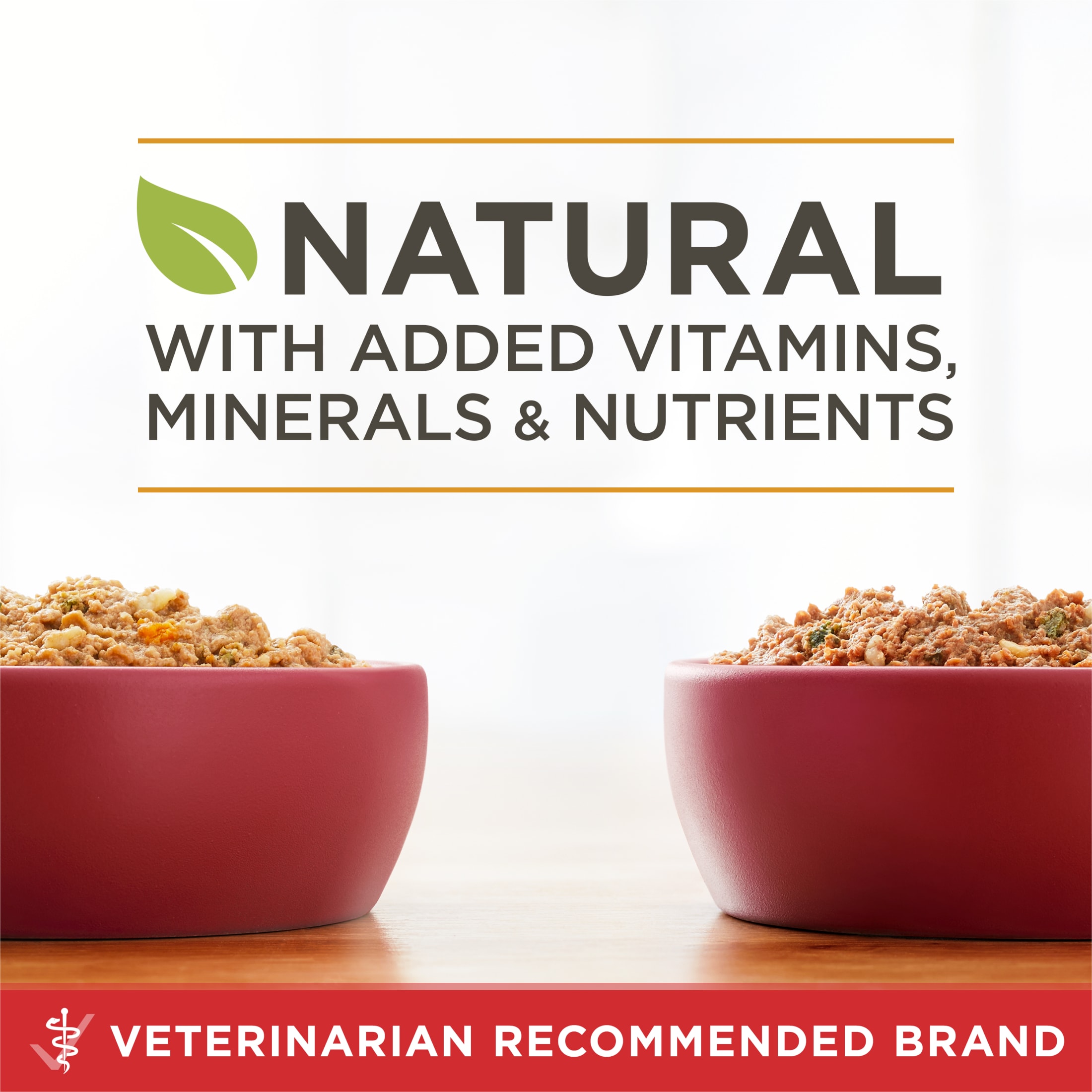 Purina ONE Natural Wet Dog Food, High Protein, 6 Cans photo 3