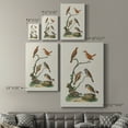thumbnail image 4 of Antique Birds in Nature IV Premium Gallery Wrapped Canvas - Ready to Hang, 4 of 9
