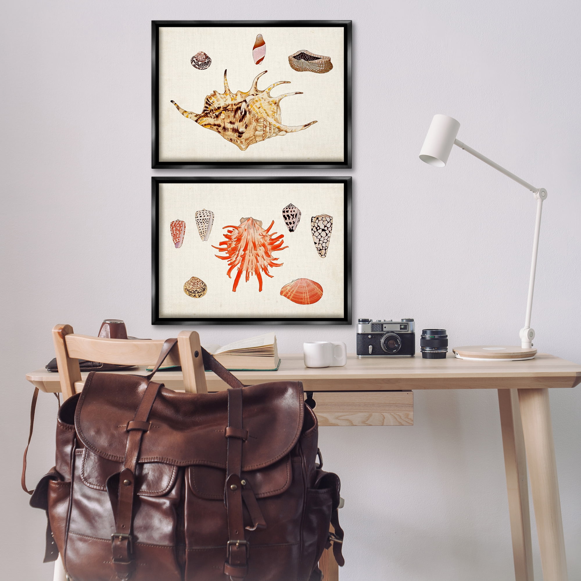 Stupell Industries Antique Shell Anthology Nautical & Beach Painting Black Floater Framed Canvas Art Print Wall Art, 25 x 17, Set of 2