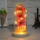 thumbnail image 3 of Flor de luz LED Botella decorativa Lámpara seca Preservada Mujeres Decoración de regalo Funciona con pilas Decoración romántica de la boda en el hogar Rosa roja Rosa roja Speravity HA009077-01B, 3 of 6