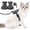 Gray, variant on Walking Cat Harness,easy To Control,breathable,with Reflective Strips,adjustable Cat Collar And Soft Mesh,perfect For Cat Harness/backpack Use.