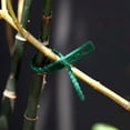 thumbnail image 4 of Dinheiro 100 bridas ajustables para plantas de jardín, bridas de plástico flexible de 9 pulgadas (verde), 4 of 5