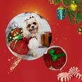 thumbnail image 5 of 2 Pack Pet Christmas Dress Outfit Puppy Clothes for Small Dogs Girl Thermal Holiday Puppy Dog Clothes Winter Large Dress Pet Clothes Small Girl Dog Clothes Pack Cute Girl Dog Sweaters Siz, 5 of 8