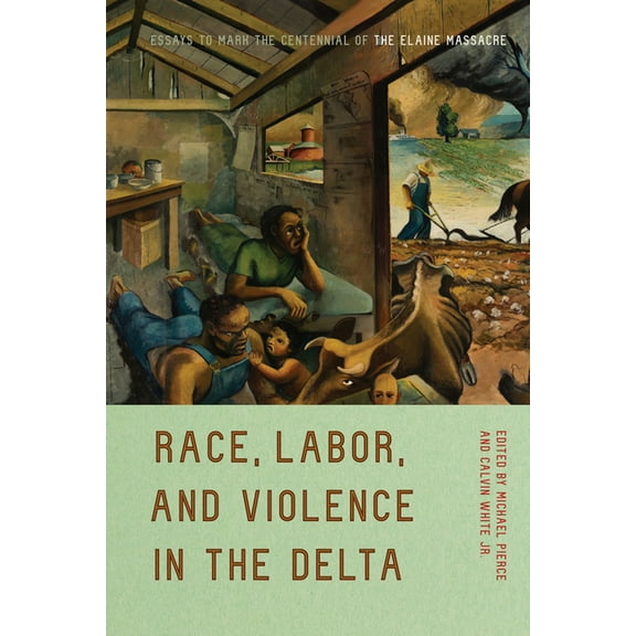 Race, Labor, and Violence in the Delta : Essays to Mark the Centennial of the Elaine Massacre (Hardcover)