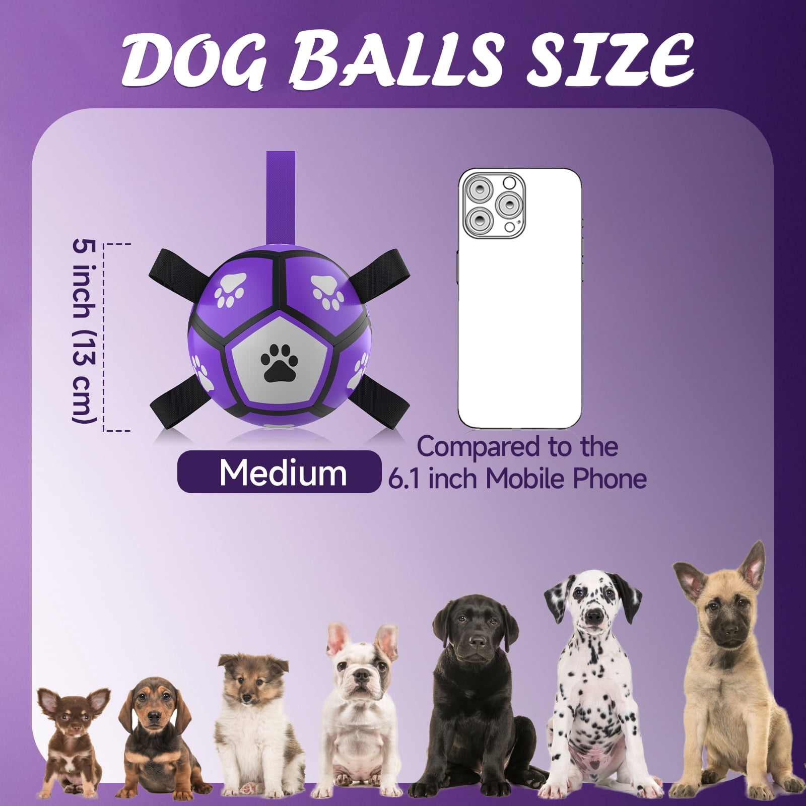 QDAN Durable Dog Toys Soccer Ball with Nylon Straps Hand Pump for Puppies Small Dogs, Purple & Gray, 5-inch