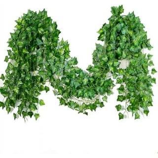 36 Strands 248Ft Fake Ivy Garlands Leaves Artificial Vines Faux Green Hanging Plants for Bedroom Wall House Decor Outdoor Wedding Photography