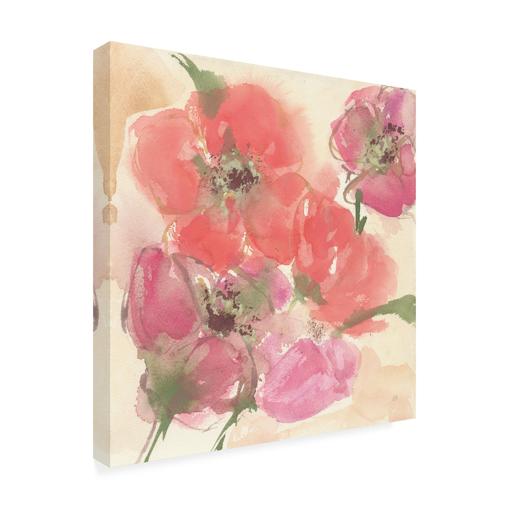 Trademark Fine Art 'Coral Blooms I' Canvas Art by Chris Paschke