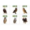 thumbnail image 1 of PEONAVET Coaster Coaster Bird Encyclopedia Owl Pattern Restaurant Pot Insulation Mat 6pc, 1 of 7