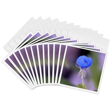 3drose Tiny Blue Water Iris 12 Greeting Cards with Envelopes