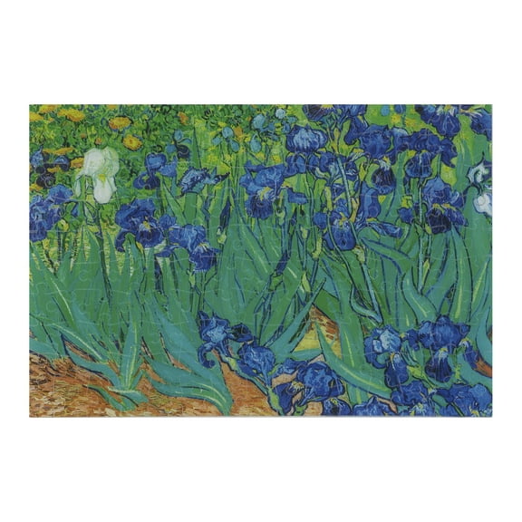 Irises by Vincent van Gogh