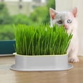 thumbnail image 2 of SHISUYAN Hydroponic Cat Grass Cultivation Box Soilless Planting Kit 2Pcs 17.7X4.7In, 2 of 8