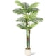 thumbnail image 1 of Single-piece set of 6 ft (72 in) altura artificial golden cane palm trees. these grande fake plants are a great addition living rooms yards both indoor y outdoor spaces. they come a blanca b..., 1 of 6