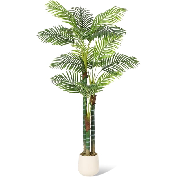 Single-piece set of 6 ft (72 in) altura artificial golden cane palm trees. these grande fake plants are a great addition living rooms yards both indoor y outdoor spaces. they come a blanca b...
