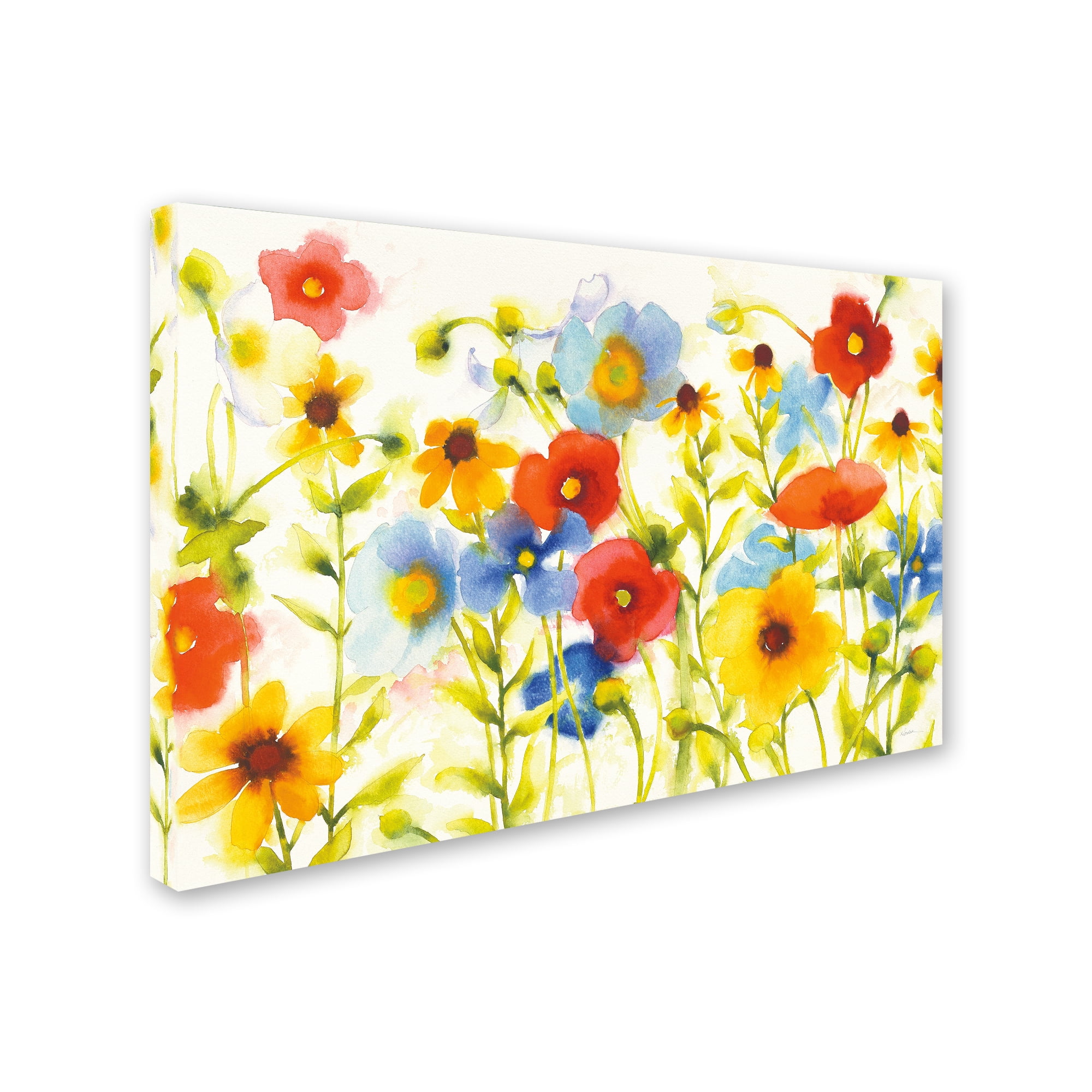 Trademark Fine Art "Americana Meadow I Crop" Canvas Art by Shirley Novak