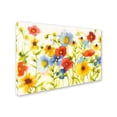 thumbnail image 2 of Trademark Fine Art "Americana Meadow I Crop" Canvas Art by Shirley Novak, 2 of 3
