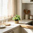 thumbnail image 5 of Faux Potted Plant in Woven Straw Basket – Assorted Leaf Styles Mini Artificial Greenery for Home Office Shelf Tabletop, 5 of 6