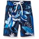thumbnail image 1 of Kanu Surf Boys Echo Quick Dry Upf 50+ Bañador de playa Baja Navy 10 12 US, 1 of 1