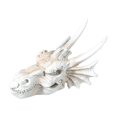 thumbnail image 3 of Acuario dinosaurio cráneo resina cráneo modelo artesanía cueva paisaje escultura ornamento pecera decoración para escritorio hogar agua dulce Pequeño, 3 of 8