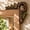 #001-Owl, variant on Lucahom Rustic Wooden Fox Door Frame Corner Decor, 7.87 Inch Tree Hollow Fox Sculpture with Autumn Oak Leaves & Pinecone, Farmhouse Door Topper for Window Wall Home Decoration