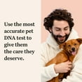 thumbnail image 2 of Wisdom Panel Premium, Breed Identification & Extensive Health Condition Identification, Dog DNA Test Kit, 2 of 8