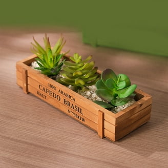 Rectangular Wooden Planter Succulent Box Vintage Combination Flower Pot -  Walmart.com