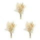 thumbnail image 2 of Wosthever Hierba de pampa artificial Plantas naturales Ramas Hojas de palma para sala de estar Type1 NO1, 2 of 6