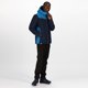 thumbnail image 4 of Regatta - Chaqueta Acolchada Highton para Hombre (Marino Anochecer, Azul Imperial) Regatta UTRG5569_nightfallnavyimperialblue, 4 of 6