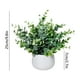 thumbnail image 3 of Plantas Artificiales de Eucalipto En Macetas Blancas | Plantas Artificiales de Interior para Decoración Del Hogar | Planta de Simulación de 25X10Cm con Maceta de Cerámica, 3 of 6