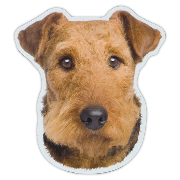Magnetic Bumper Sticker - Airedale Terrier Dog Breed Picture Magnet - Cars, Trucks, SUVs, Etc.