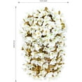 thumbnail image 2 of Bougainvillea Artificial Fall Hanging Flowers Plants for Outdoors Autumn Decoration, 2pcs Faux Bougainvillea Vines White Fake Flowers Realistic UV Resistant Silk Flowers for Outside Planter Yard Home, 2 of 17