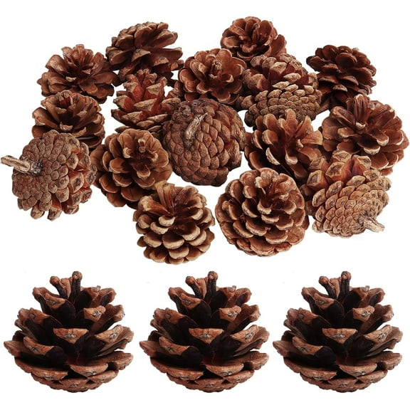 20 Pack 2.4 Inch Pinecones Bulk Package of Natural Pinecones Pine Cones for Crafts Home Decor Vase Filler