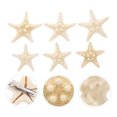 thumbnail image 1 of unbranded 6Ud Sea Star Bobby Pin Beige Barra De Decorativa Y Sofisticada, 1 of 6