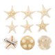 thumbnail image 1 of FUTUREORYY 6Ud Clip Para En De De Mar Beige Y Decorativo, 1 of 5