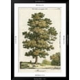 thumbnail image 5 of Art.com A Sweet Chestnut Tree Art Print, Black Frame Wall Art, 32" x 44", 5 of 5