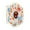 Animal Cell Model, variant on yotijay Cell Model Experimental Classroom Learning Study Biology Science Kit Plant Cell Model