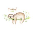 thumbnail image 2 of STARTIST Tank Decoration Sticker Background Poster for Aquarium 76x56cm, 2 of 9
