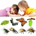 thumbnail image 2 of Modelo De Insecto Simulado Modelo De Insecto Realista Insecto De Plástico Y Decoración De Insectos Juguetes Para Niños Yuarrent FN007276-04, 2 of 6
