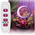 thumbnail image 3 of 1/2/3/4 Ring Small Plant Halo Grow Light with 8/12/16H Timer for Desk,Full Spectrum LEDs USB Mini Dimmable Grow Light for Indoor Umbrella Plant Seeds herb Growth(2 Rings), 3 of 8