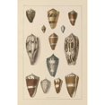 thumbnail image 3 of Wild Apple Portfolio 17x24 Black Modern Framed Museum Art Print Titled - Shell Assorment I, 3 of 5