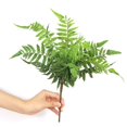 thumbnail image 2 of Artificial Fern Plant Plastic - Decorative Greenery Leaf Pick Faux Fern Stem, 2 of 7