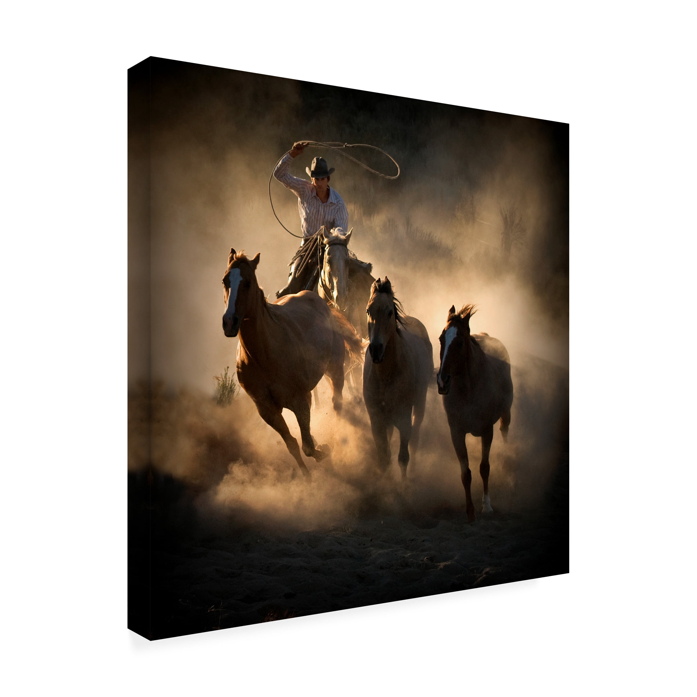 Stephen Rostler 'Roundup' Canvas Art