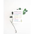 thumbnail image 4 of Recovery Cards - Sobriety Greeting Card - Sober Anniversary Cards - Motivation Cards for AA Recovery - Sober Cards - Alcoholic Recovery - Card and Envelope Set, 4 of 9