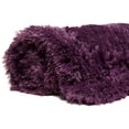 thumbnail image 5 of Chanasya Super Soft Shaggy Longfur Throw Blanket | Snuggly Fuzzy Faux Fur Lightweight Warm Elegant Cozy Plush Sherpa Microfiber Blanket | For Couch Bed Chair Photo Props - 60 "x 70"- Aubergine Purple, 5 of 8