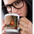 thumbnail image 2 of 3dRose, Ring necked pheasant on a country road, Sacramento NWR, California, 15oz Two-Tone Black Mug, 2 of 7
