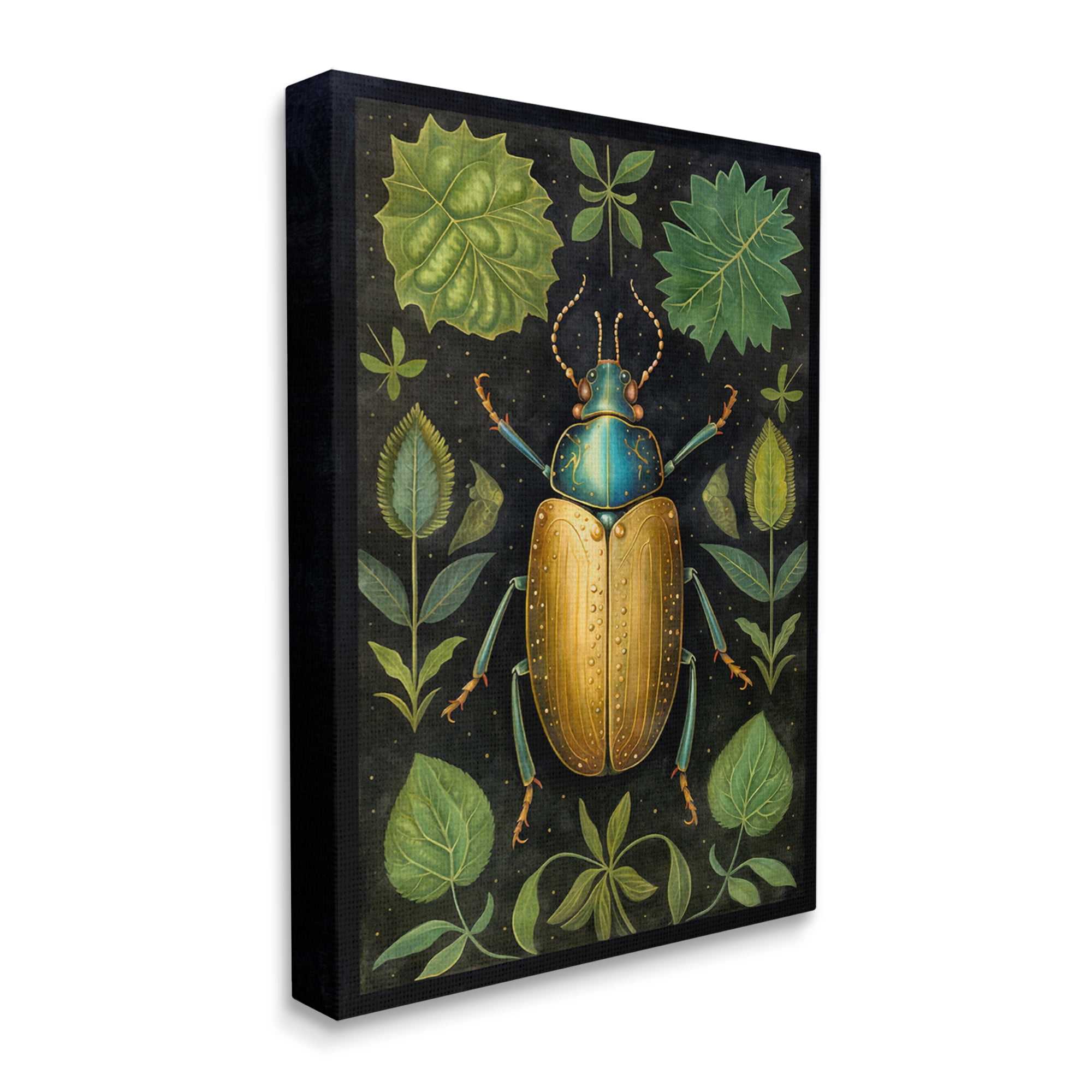 Stupell Industries Botanical Beetle Study Animals & Insects Painting Gallery Wrapped Canvas Art Print Wall Art, 36 x 48