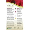 thumbnail image 6 of Encore Azalea Autumn Fire (1 Gallon) Red Flowering Shrub - Full Sun Live Outdoor Plant, 6 of 8