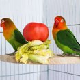 thumbnail image 3 of SHISUYAN Parrot Standing Perch Birds Perch Platform Wood Parrots Standing Wood Perch, 3 of 9