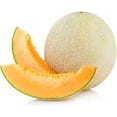 thumbnail image 3 of Imperial 45 Cantaloupe Seeds for Planting, 50+ Heirloom Seeds Per Packet Non GMO Seeds, Botanical Name Cucumis melo, Great Home Garden Gift, 3 of 7