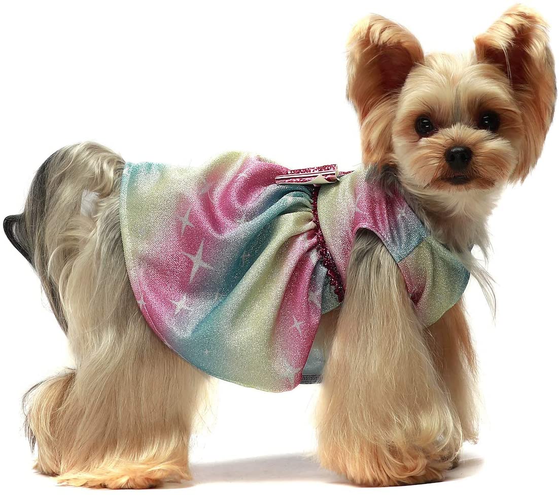 bling dog clothes