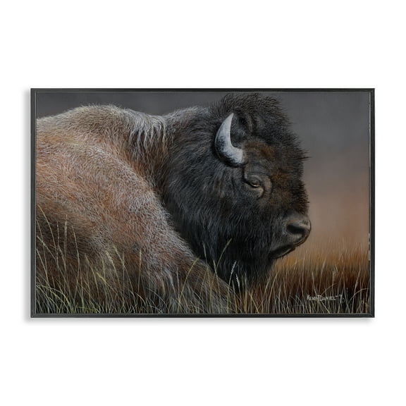 Stupell Industries Detailed Bison Close Up Animals Painting Black Framed Art Print Wall Art, 18 x 12